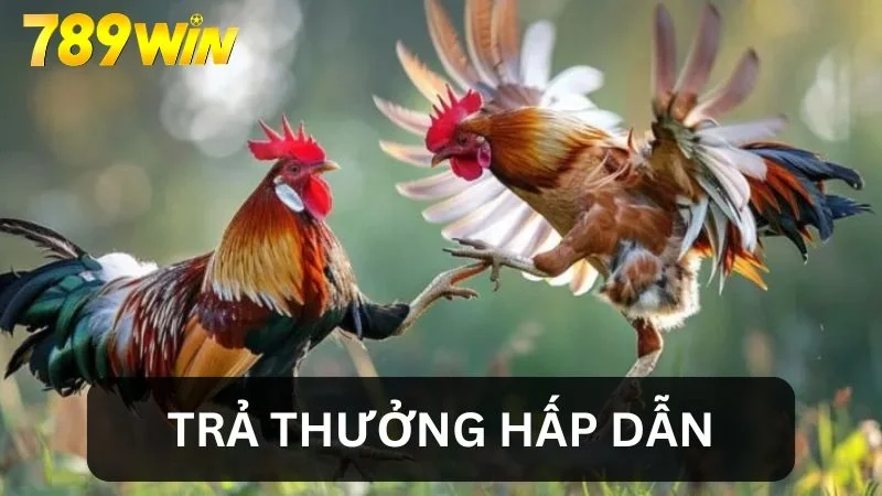 AOG trả thưởng hấp dẫn