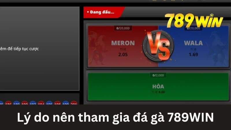 Nên tham gia đá gà 789WIN