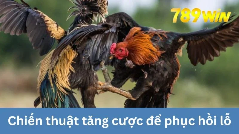 Chiến thuật tăng cược để phục hồi lỗ