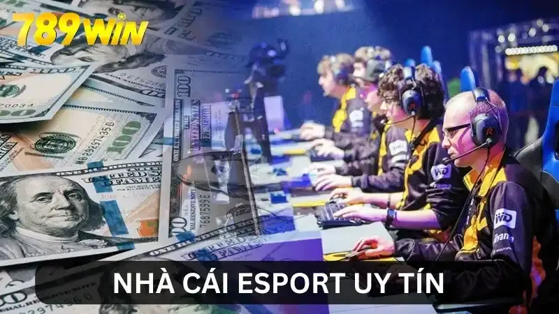 Nhà Cái Esport Uy Tín - Điểm Danh 10 Cái Tên Sáng Giá